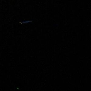 Meet your Posher, Miracle